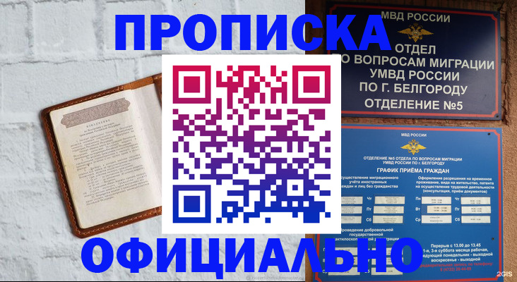 временная регистрация для школы в Партизанске